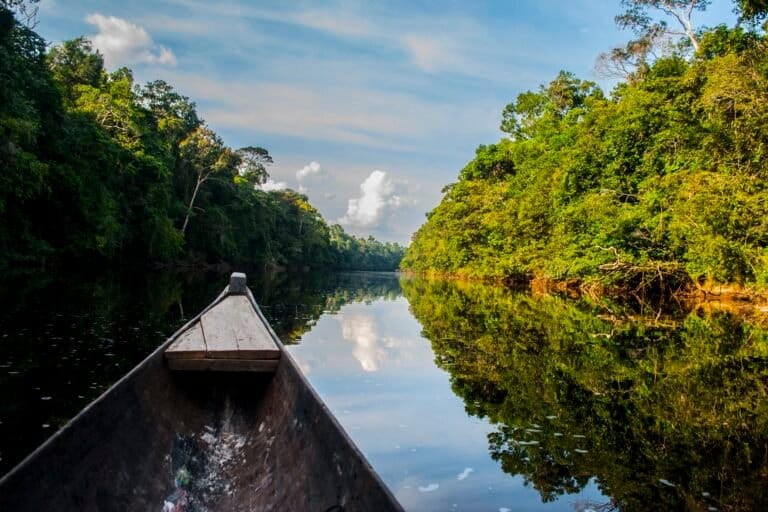 Los territorios indígenas de la Amazonía colombiana mantienen gran parte de sus coberturas naturales intactas. Foto: cortesía Mauricio Romero / GAIA Amazonas