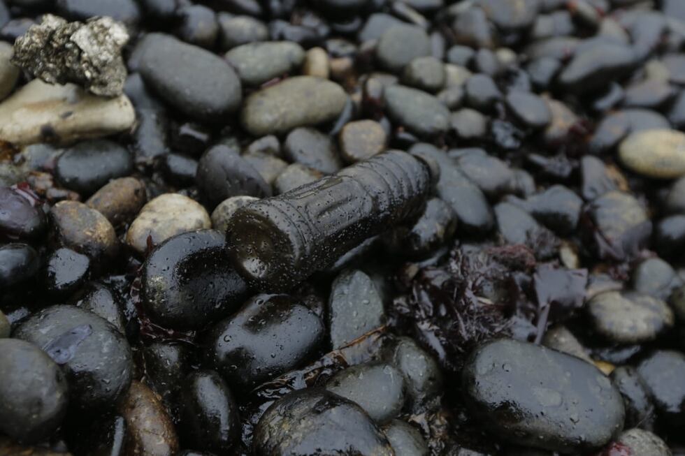 La falta de presupuesto municipal para acciones de limpieza complica la respuesta ante esta emergencia ambiental (foto: Violeta Ayasta).
