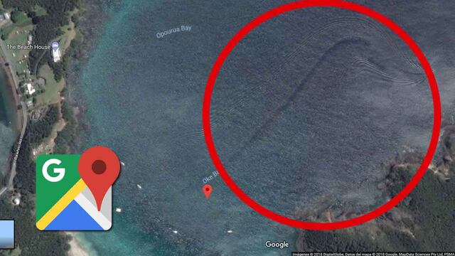 ▷ Google Maps: ¿legendaria 'serpiente marina' aparece en medio del Oke Bay?