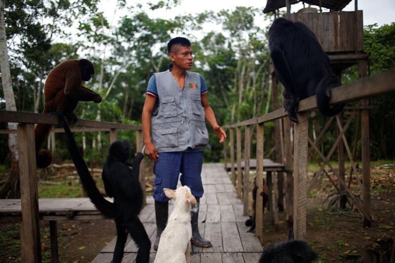Unas 10 personas, incluido André, se dedican a cuidar a los animales y trabajar como custodios del bosque en Asoconprebiocha.