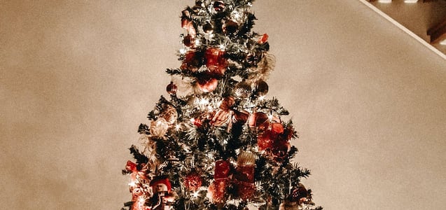 Qué debes ponerle a tu árbol de Navidad para atraer dinero este 2024