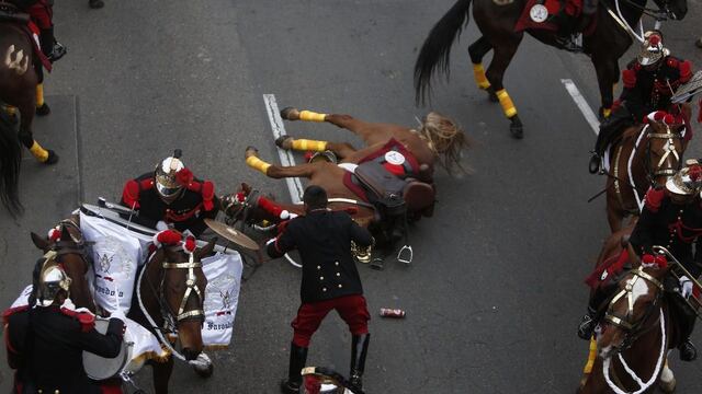 Caballo del regimiento Mariscal Domingo Nieto sufrió caída en pleno desfile