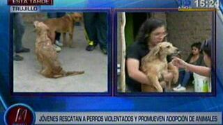 Jóvenes rescatan perros maltratados y abandonados en Trujillo