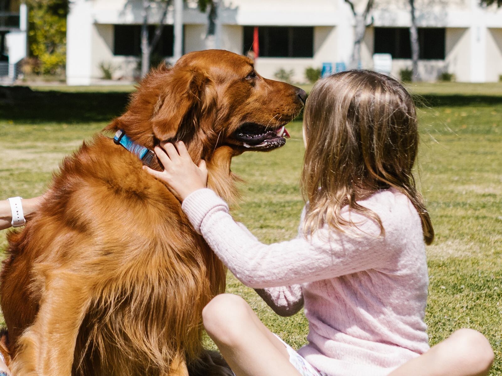 VIDEO VIRAL | Nadie se imaginó que la menor fuera encontrada durmiendo al lado de sus dos mascotas. (Foto: Foto de RDNE Stock project de Pexels)