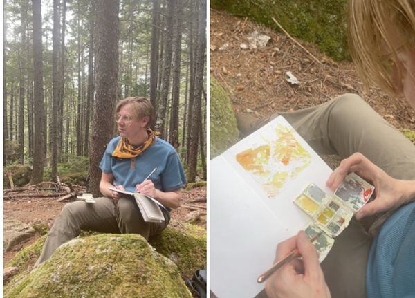 Imágenes del artista convocado para realizar el doodle de Google del Sendero de los Apalaches | Foto: Google