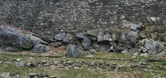 Encuentra a la marmota escondida en el terraplén en 30 segundos