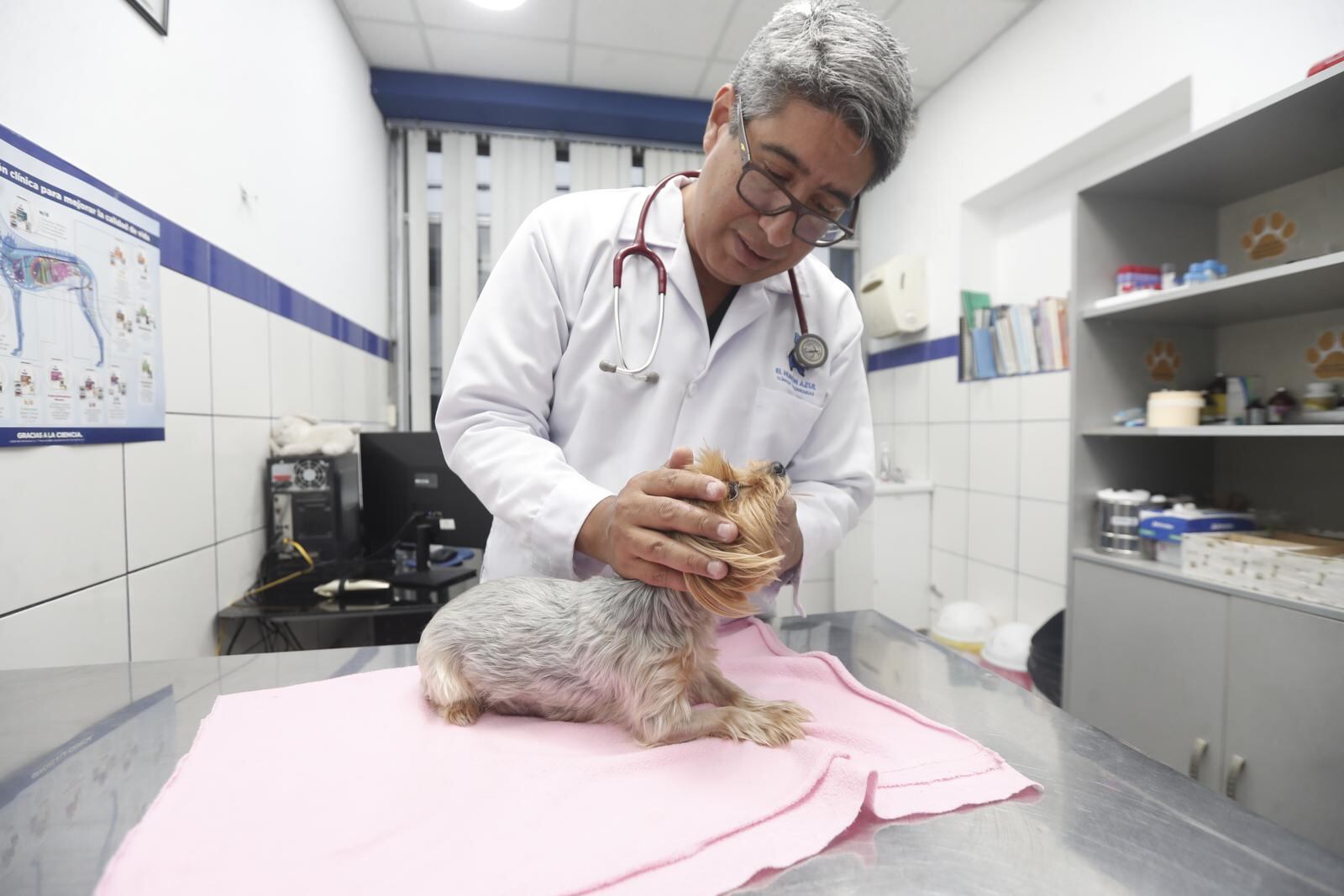 El médico veterinario Carlos Castillo comentó que es vital tomar medidas preventivas para cuidar a nuestras mascotas y no esperar a que ocurra el sismo para actuar. (Foto: Jesús Saucedo)