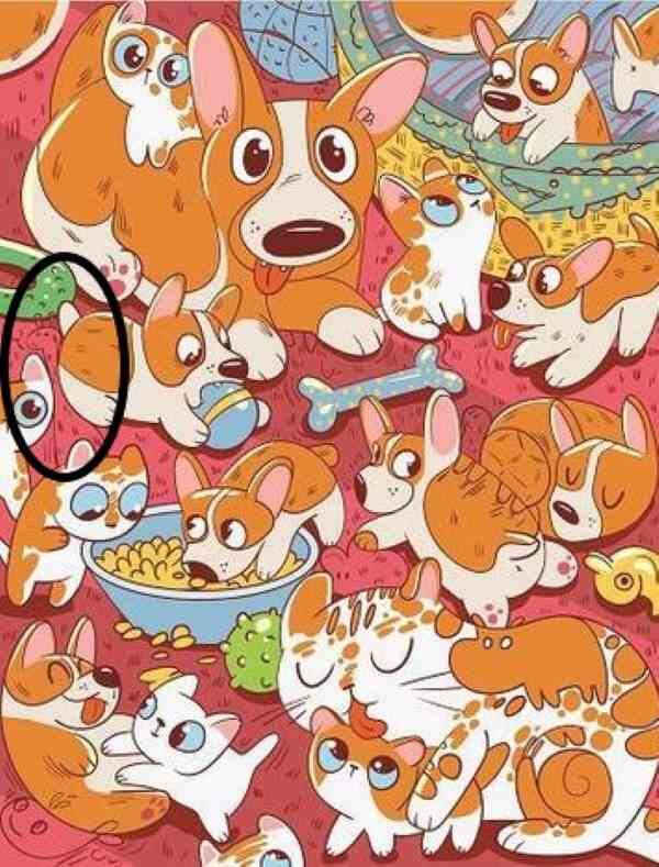 Si no encontraste la jirafa, está bien, ¡no te rindas! Sigue probando estos acertijos de buscar y encontrar y seguramente emergerás como un verdadero maestro de los acertijos.