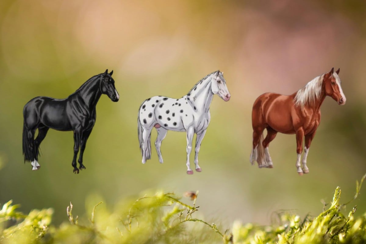 Eligiendo un caballo podrás descubrir cuál es tu rasgo más sobresaliente de la manera más fácil. (Imagen: El Comercio/Mag)