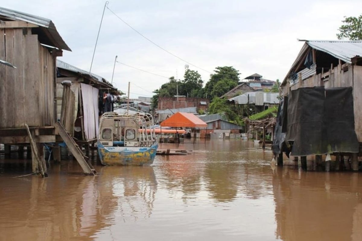 os fuertes vientos podrían derribar árboles y afectar estructuras, desprendiendo techos y generando cortes de energía. Se recomienda mantenerse alerta y seguir las indicaciones oficiales. (Foto: Andina)