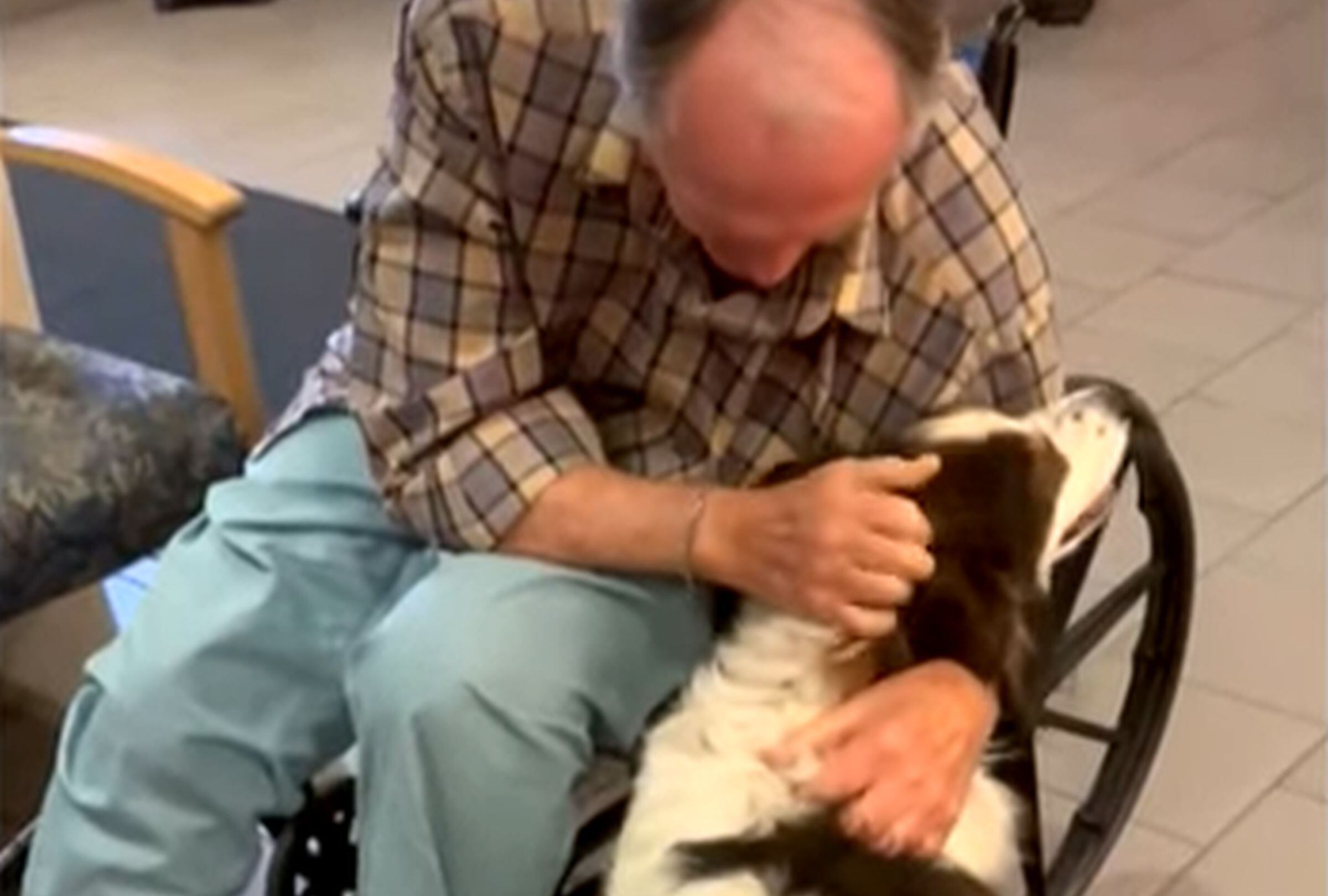 En esta imagen se aprecia a Keith Johnson acariciando a su perrita llamada Gita. (Foto: Inside Edition / YouTube)