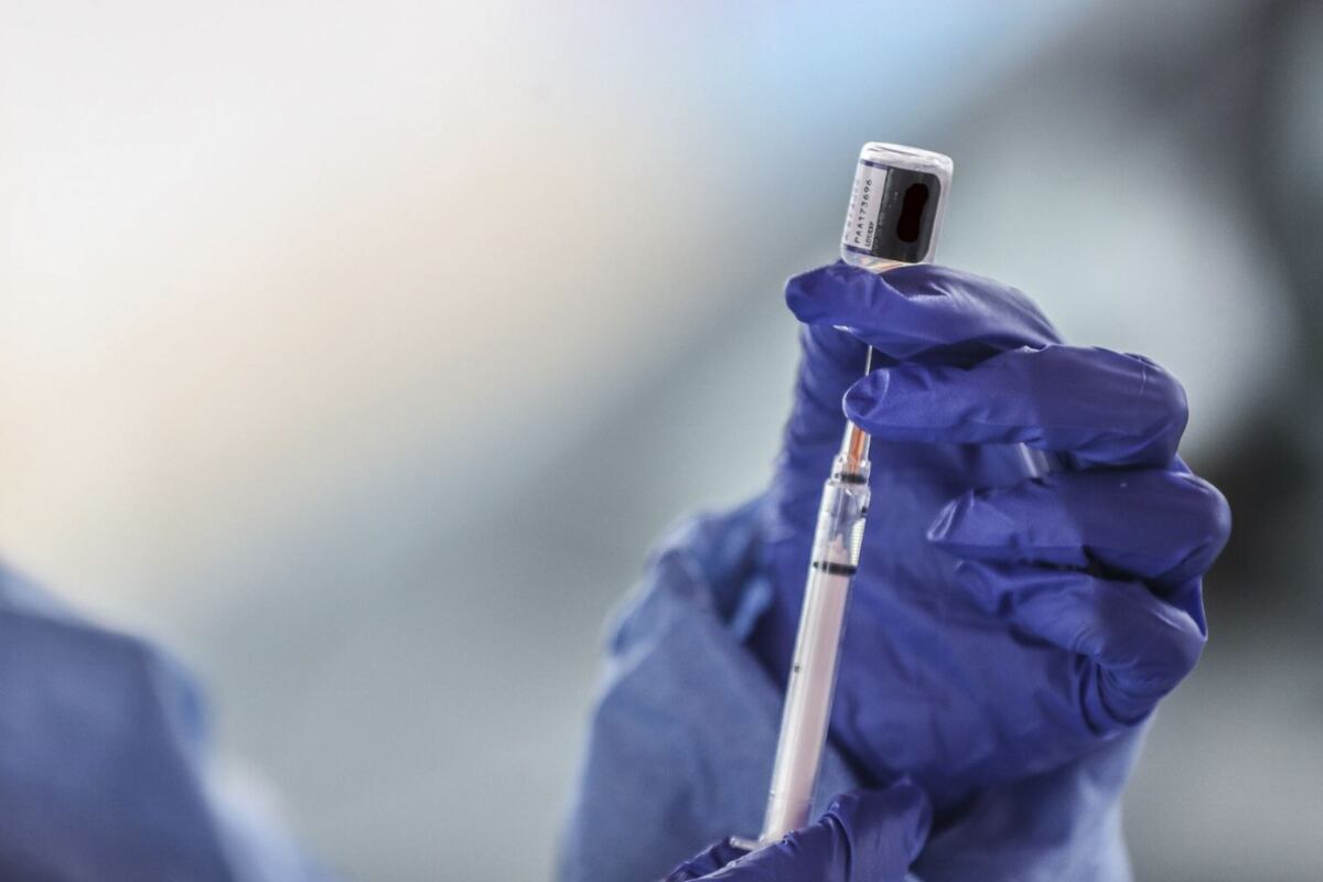 El dengue es una enfermedad viral transmitida por la picadura del mosquito Aedes Aegypti y se caracteriza por presentar síntomas como fiebre, dolor de cabeza intenso, entre otros. Foto: Andina