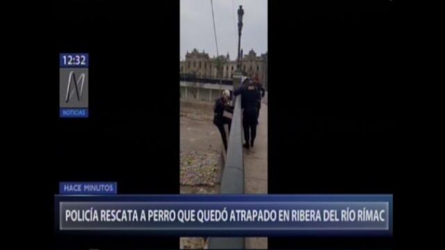 Policía rescató a perro que quedó varado en ribera del Río Rímac | VIDEO