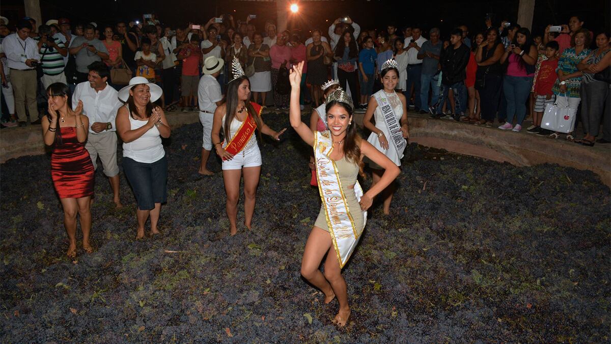 Cronograma Vendimia de Ica 2024: qué actividades del 1 al 10 de marzo | Foto: Genry Bautista / Andina