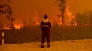 Los incendios forestales en Siberia se agravan, mientras el humo ya alcanzó el Polo Norte