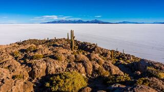 Bolivia: los desiertos blancos del salar de Uyuni