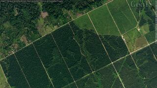 Ecuador perdió poco más de un millón de hectáreas de formaciones boscosas en 38 años