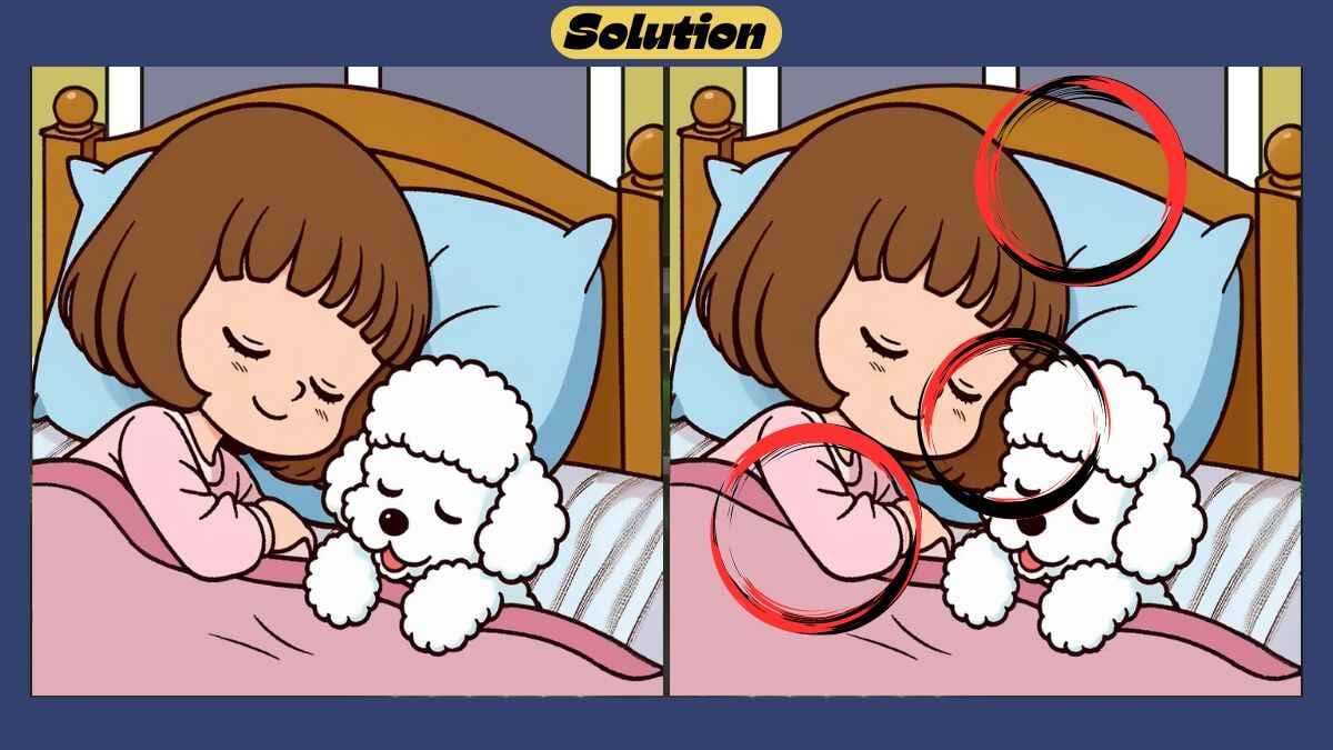 ¿Pudiste encontrar 3 diferencias en 45 segundos?