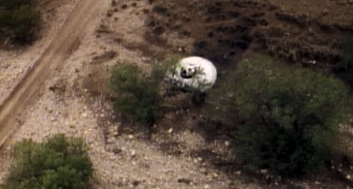 Un extraño objeto se estrelló en Roswell en 1947 (Foto: Netflix)