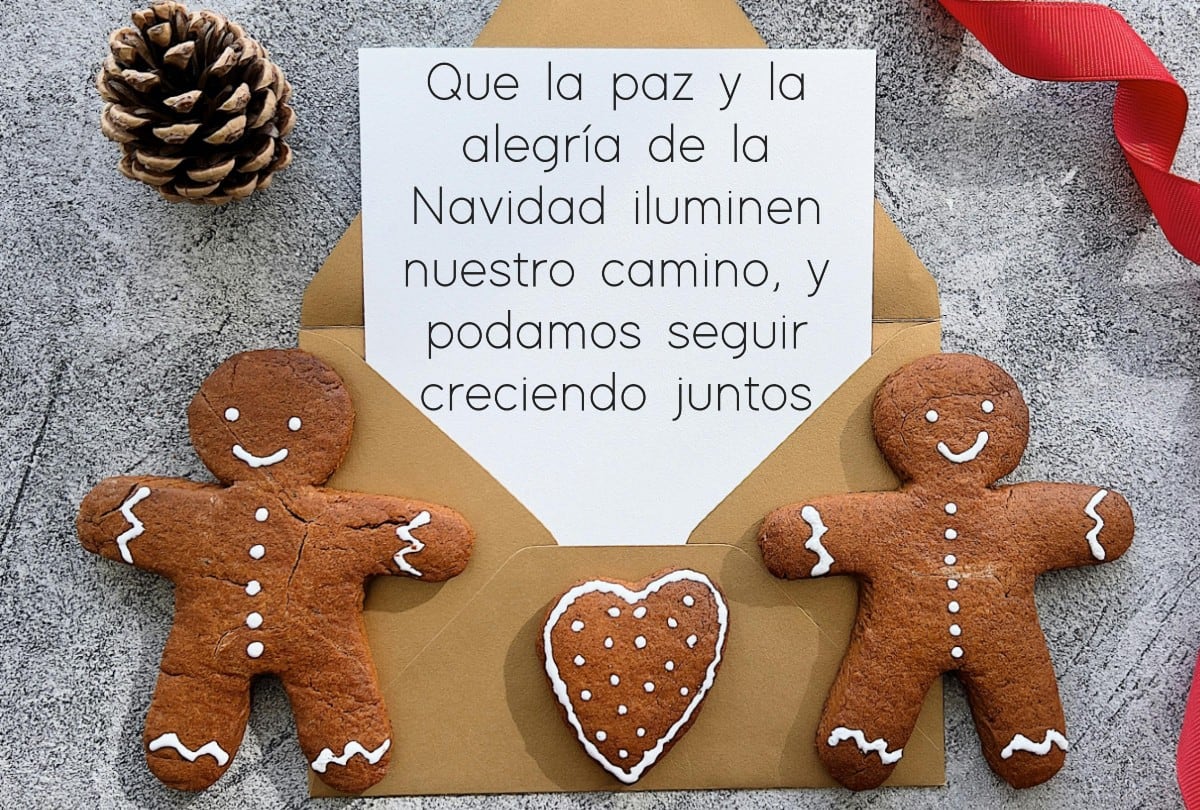 Que la paz y la alegría de la Navidad iluminen nuestro camino y podamos seguir creciendo juntos. (Foto: Mag | Pexels)