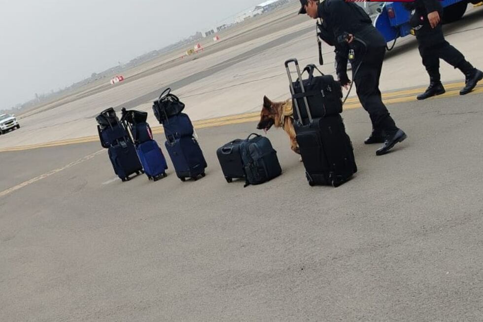 Los policías usaron canes para tratar de ubicar alguna bomba en el equipaje de los pasajeros. (Foto: CDL Noticias)
