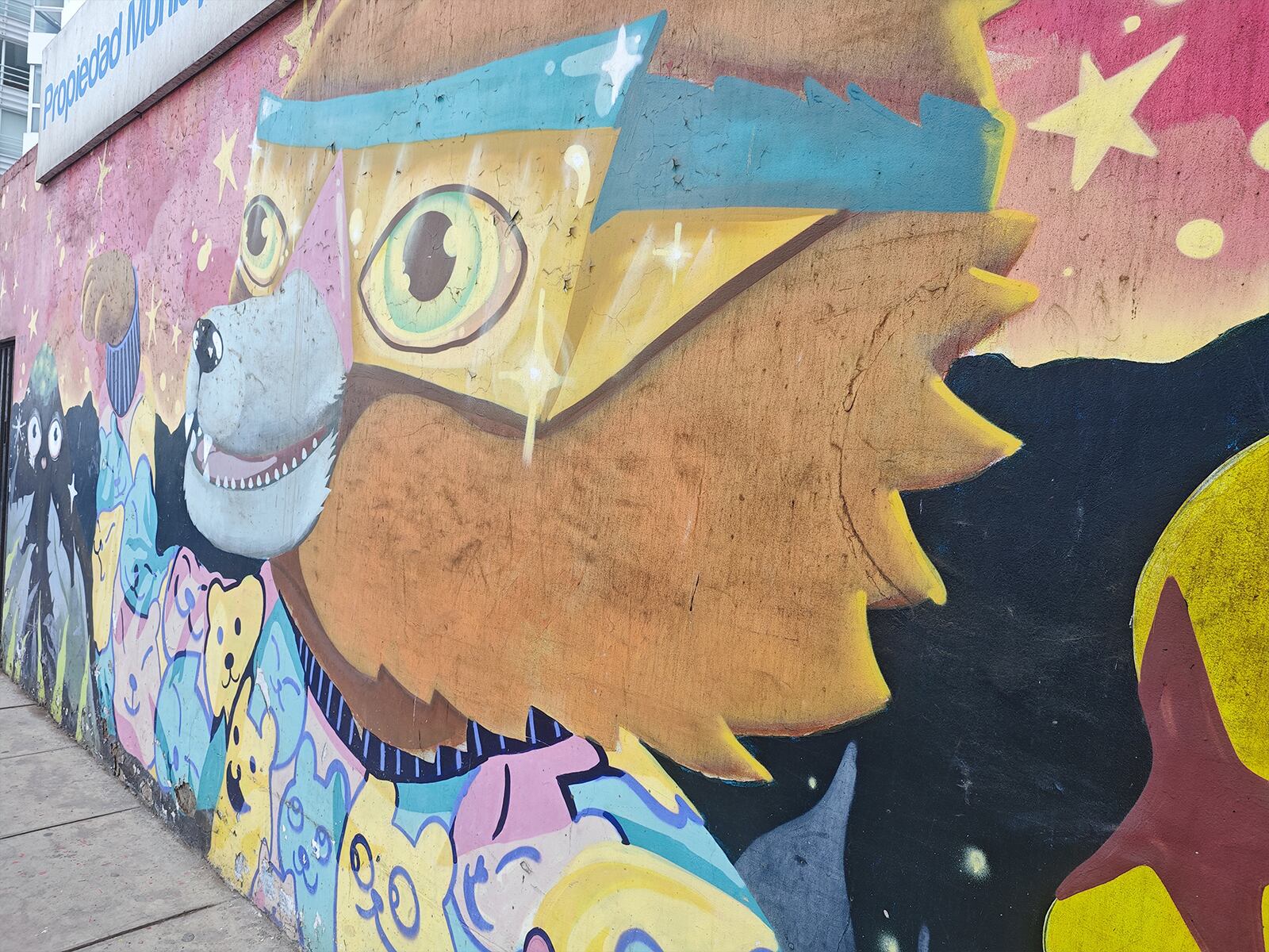 XIAOMI | Así toma las fotos el XIaomi 14 Ultra. (Foto: MAG - Rommel Yupanqui)