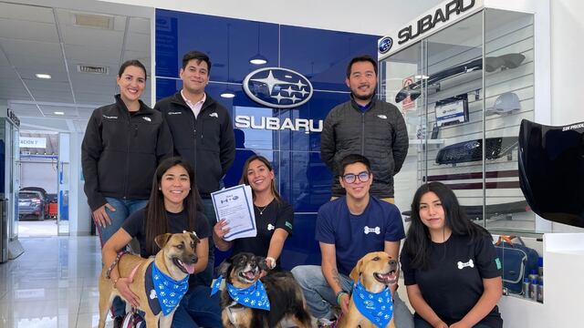 WUF y Subaru se unen en beneficio de los animales en estado de abandono