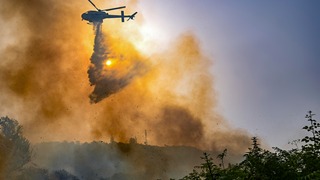 “Son cada vez más intensos”: incendios forestales extremos se han duplicado