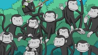 ¿Eres capaz de encontrar al oso entre los monos en 5 segundos?
