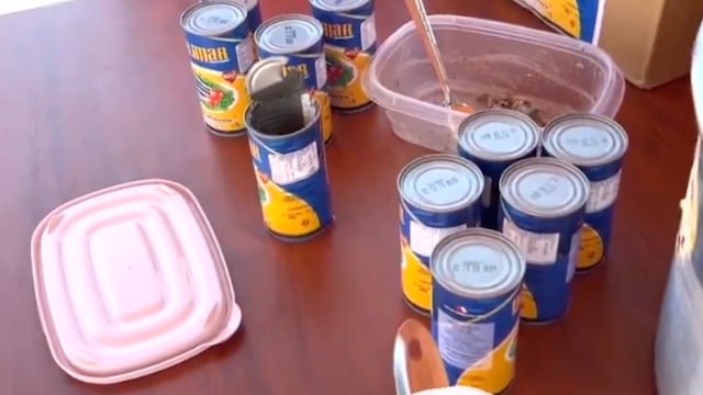 Piura: profesoras hallan larvas de gusano en latas de atún de Qali Warma | VIDEO