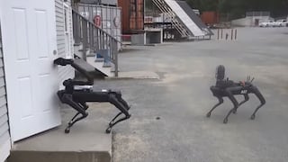 Policía en Estados Unidos comenzó a usar perros robots | VIDEO