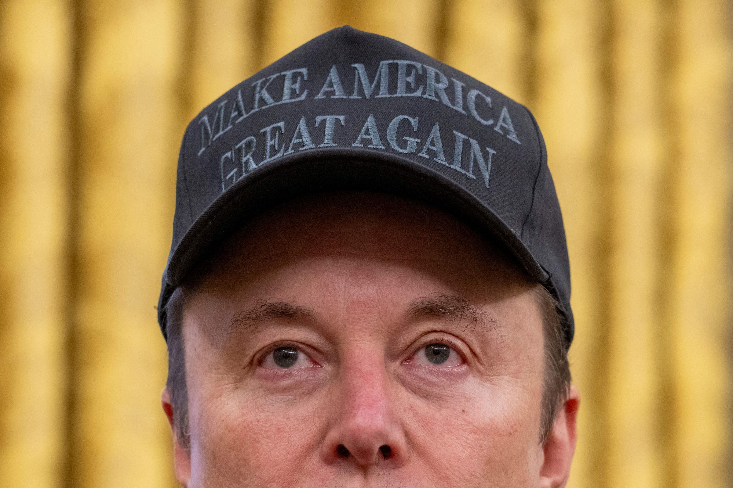Elon Musk es el director del Departamento de Eficiencia Gubernamental de Estados Unidos (DOGE), entidad encargada de hacer los recortes federales (Foto: Jim WATSON / AFP)