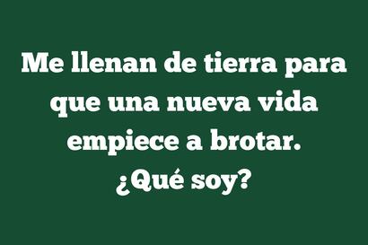 Un genio mental responde rápidamente: ¿A qué llenan de tierra para que brote una nueva vida?