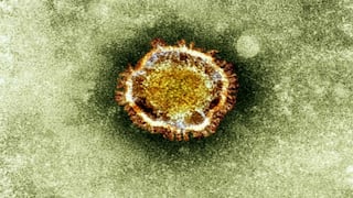 Arabia Saudí fabricará una vacuna contra el coronavirus