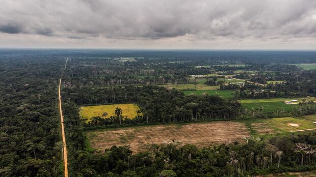 La deforestación de la Amazonía es el principal foco de emisión de gases de efecto invernadero en el Perú. Foto: Sebatian Castañeda.