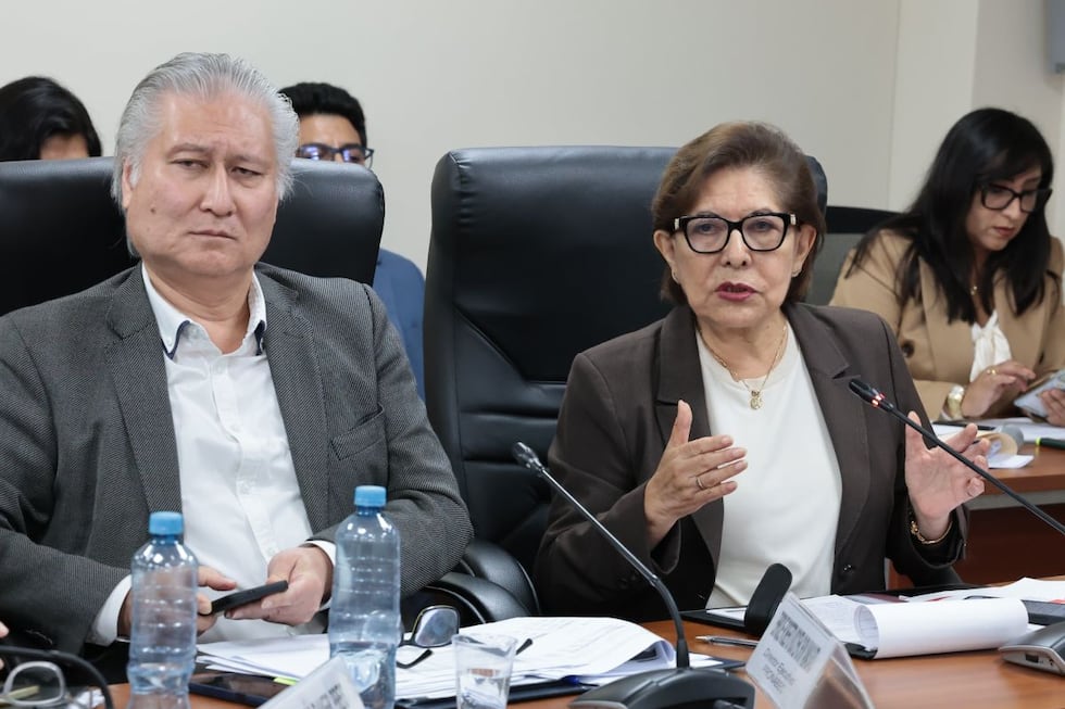 La ministra de Educación, María Esther Cuadros, y el director de Pronabec, Enrique Chon Yamasato, anunciaron ante la Comisión de Educación del Congreso su intención de solicitar un presupuesto suplementario para cubrir las necesidades del sector.