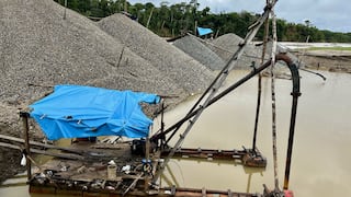 Un cuarto de la Amazonía podría llegar a un colapso ecológico ante el avance del crimen organizado | INFORME