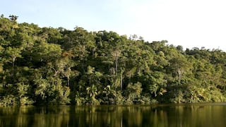 La selva amazónica reduce su resistencia al estrés térmico
