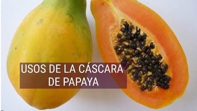 Los usos de la cáscara de papaya que desconocías