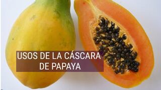 Los usos de la cáscara de papaya que desconocías