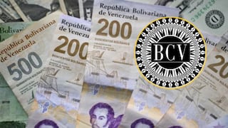 Revisa lo último del dólar BCV este 15 de octubre