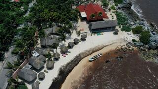 El desastre del sargazo: la marea de algas fétidas que invade el Caribe mexicano