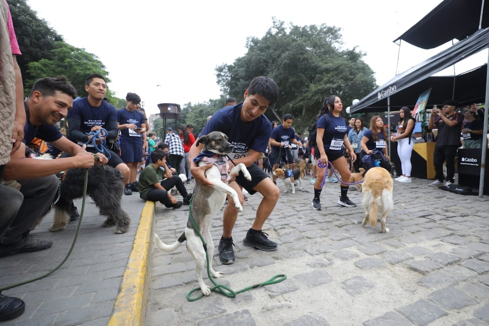 La Wufathon 4K 2025 en las calles de Barranco tuvo gran acogida. La jornada deportiva sirvió para que cientos de participantes compartieran con sus mascotas. (Foto: Antonio Melgarejo/ @photo.gec)