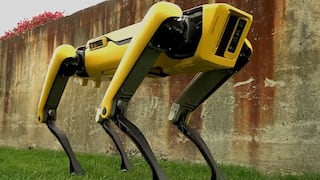 ¿Cómo es el perro robot que usará Ucrania para desactivar minas?