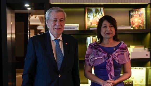 Cancilleres de Chile, Alberto Van Klaveren, y de Perú, Ana Gervasi (Foto: @Minrel_Chile)