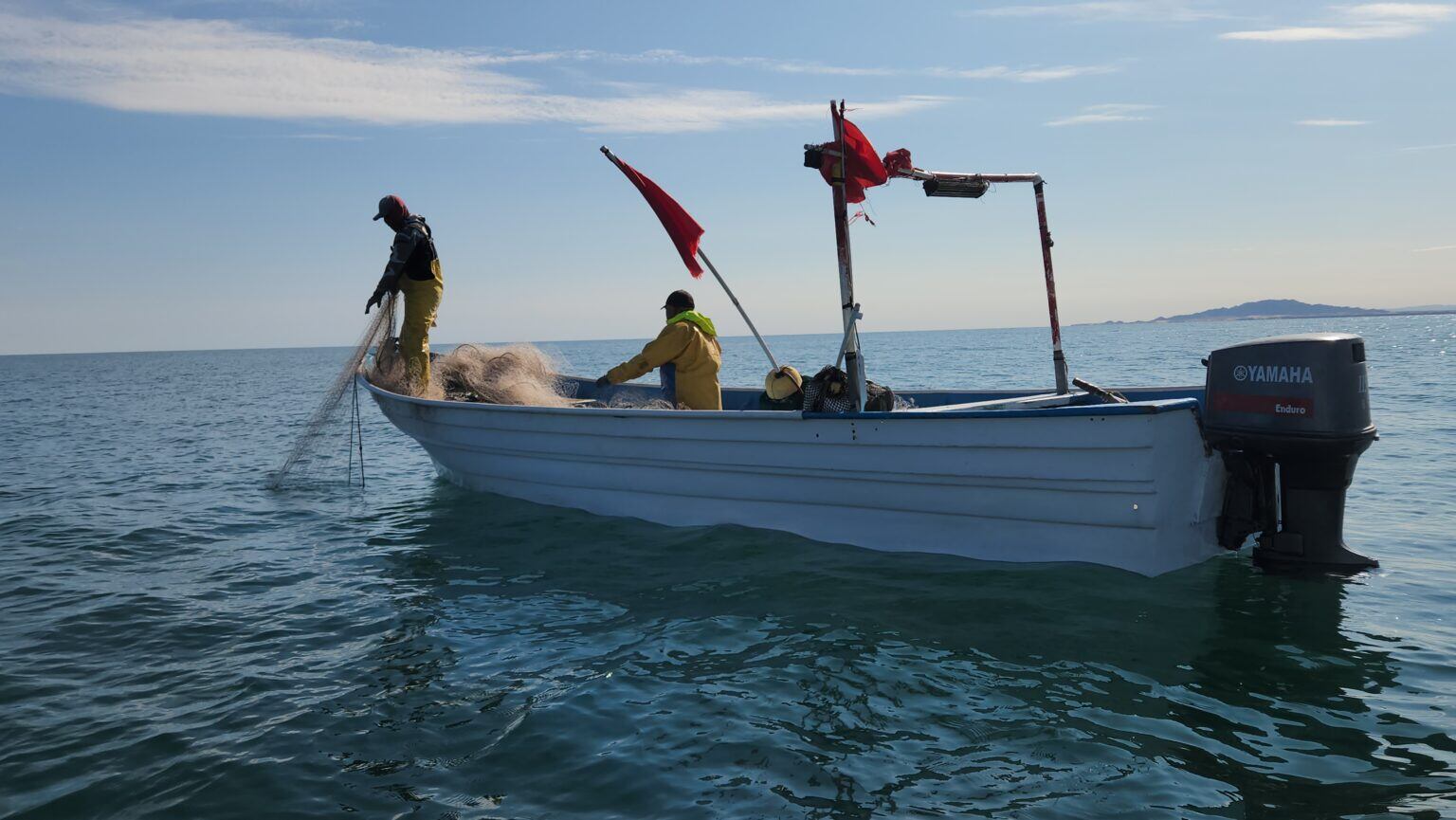 Pesca ilegal en el Alto Golfo. Foto: Cortesía Centro para la Biodiversidad Biológica.
