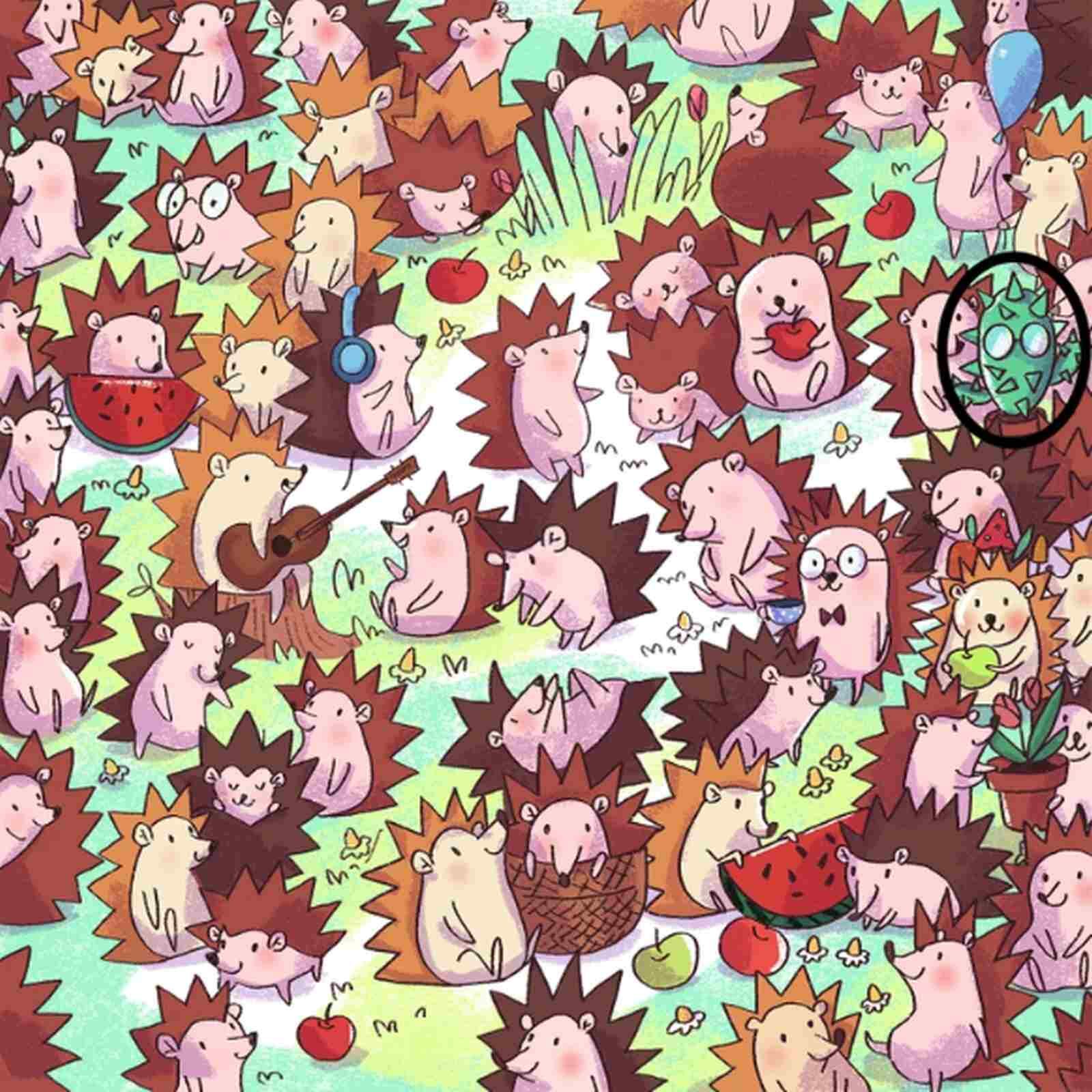 RETO VISUAL | En esta imagen se indica la ubicación del cactus. (Foto: genial.guru)