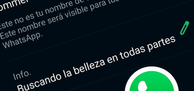 Sorprende a tus amigos con estas frases creativas para poner en tu Info de WhatsApp