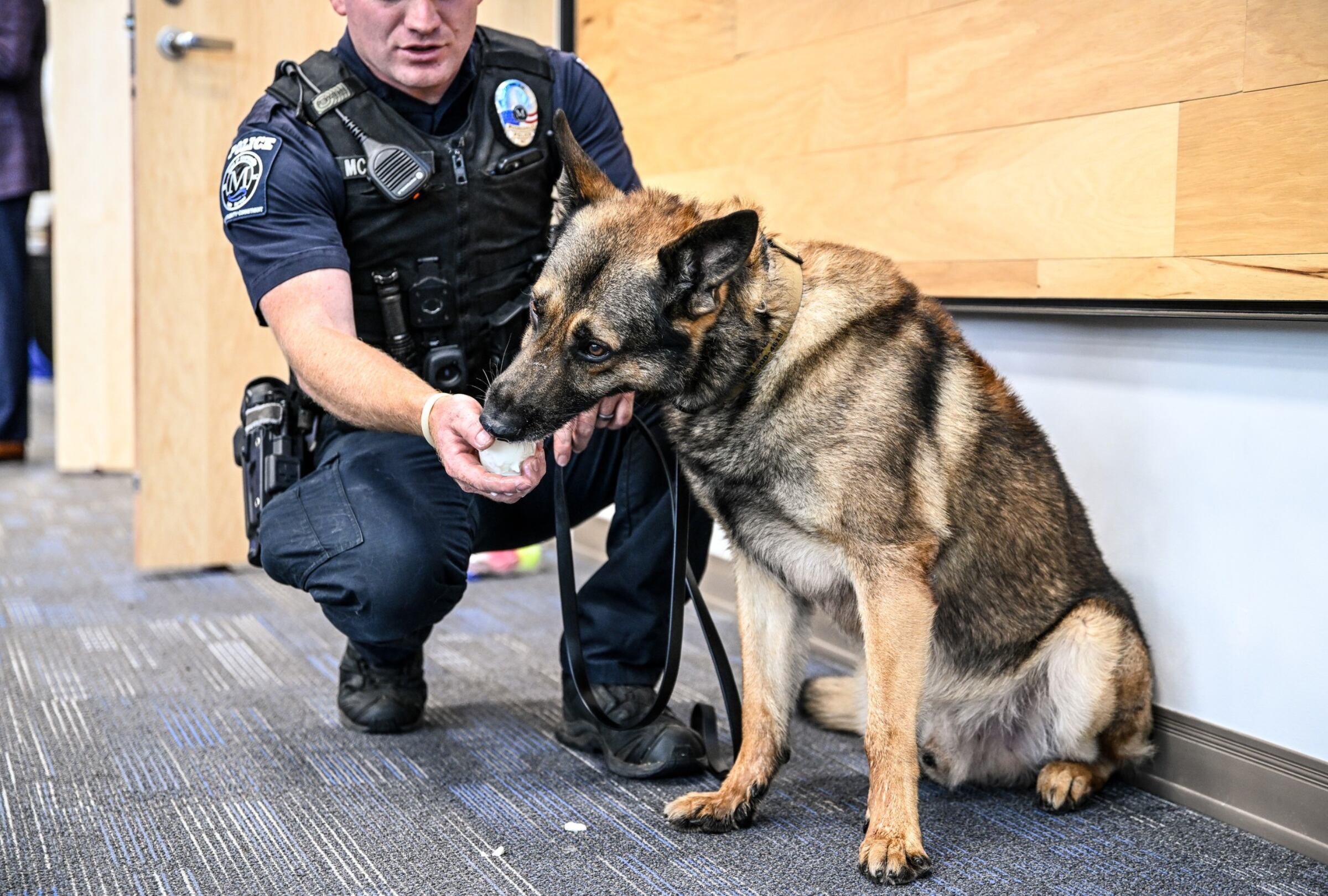 Axle, el K-9 del Departamento de Policía de Mooresville, se jubiló hace unos días en una ceremonia emotiva. (Foto: Facebook/Leigh Walther Photography).