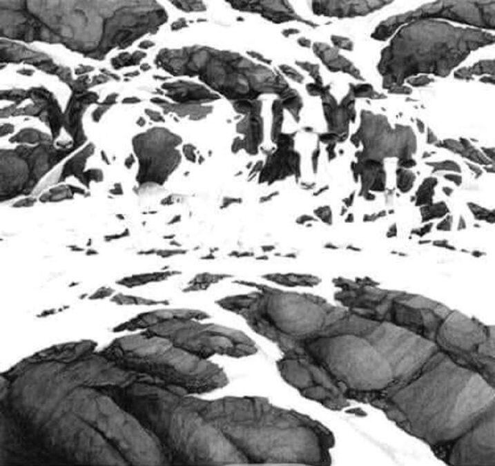 ¡Un reto para los más observadores! Sumérgete en este paisaje rural y cuenta todas las vacas que puedas encontrar. ¿Cuántas lograrás ver?